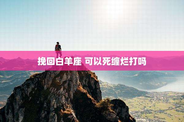 挽回白羊座 可以死缠烂打吗