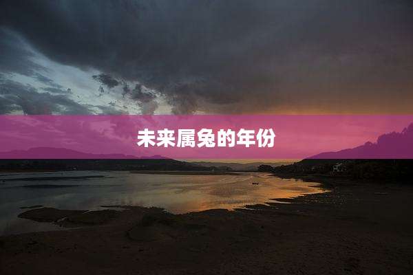 未来属兔的年份