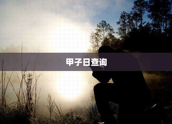 甲子日查询
