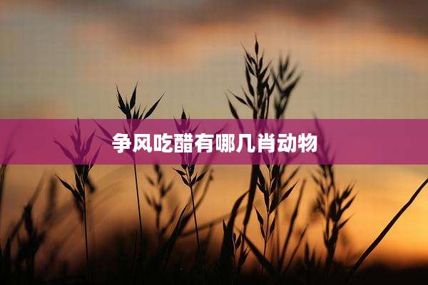 争风吃醋有哪几肖动物