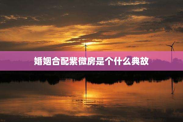 婚姻合配紫微房是个什么典故