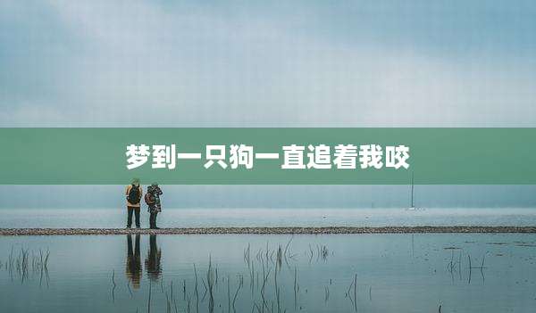 梦到一只狗一直追着我咬