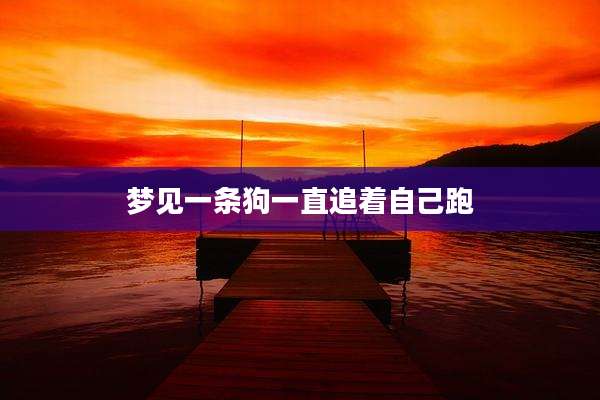 梦见一条狗一直追着自己跑