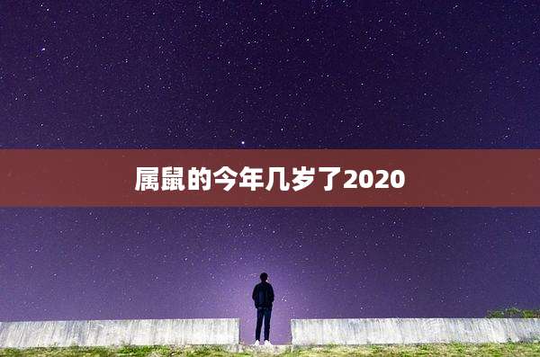属鼠的今年几岁了2020