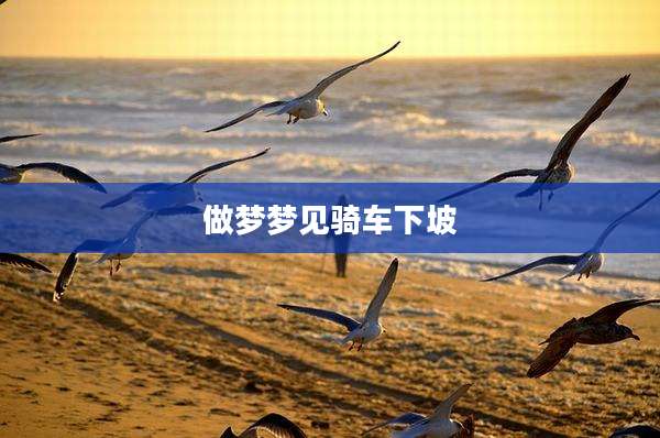 做梦梦见骑车下坡