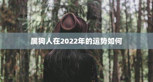 属狗人在2022年的运势如何