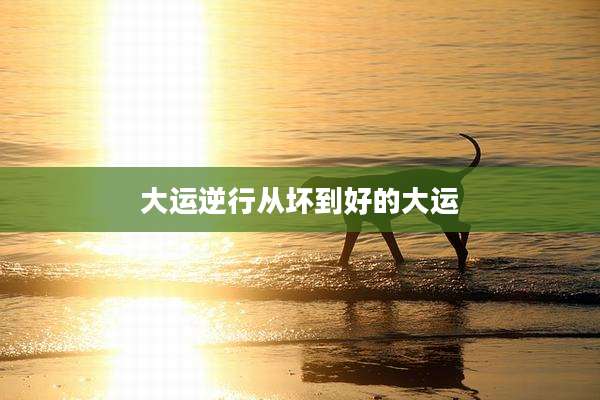 大运逆行从坏到好的大运