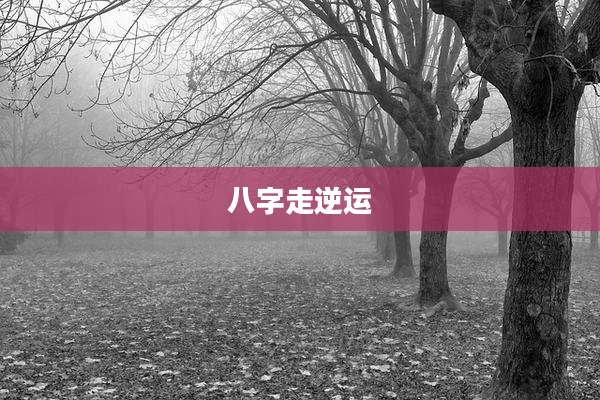 八字走逆运