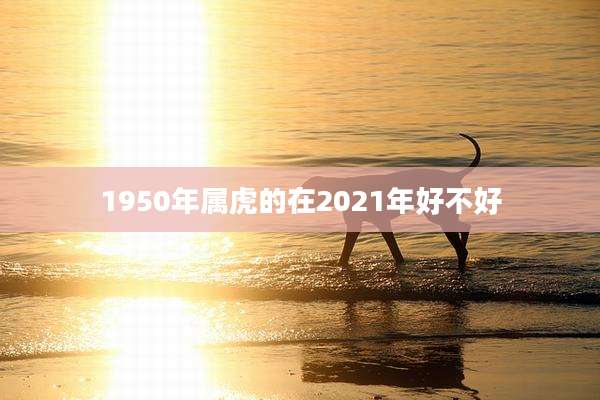 1950年属虎的在2021年好不好