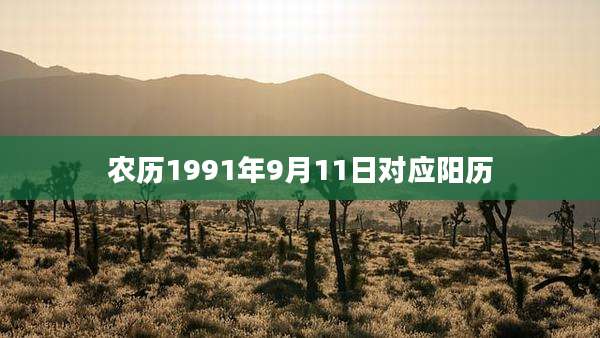 农历1991年9月11日对应阳历
