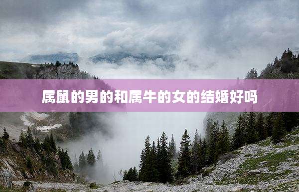 属鼠的男的和属牛的女的结婚好吗