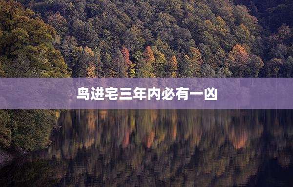 鸟进宅三年内必有一凶