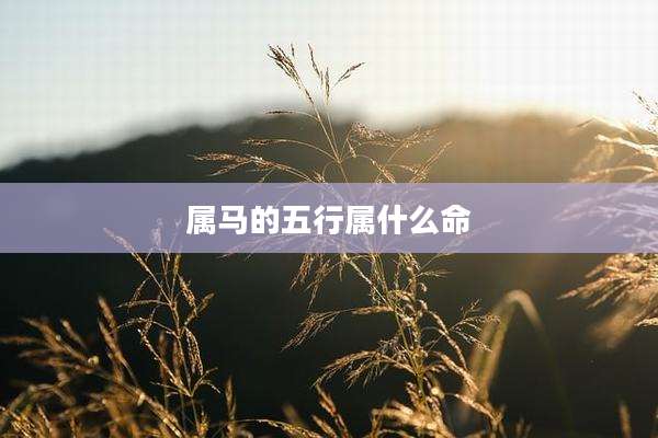 属马的五行属什么命