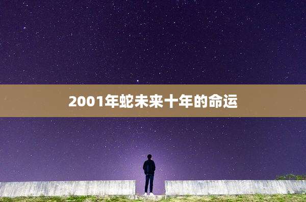 2001年蛇未来十年的命运