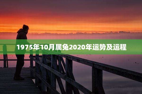 1975年10月属兔2020年运势及运程