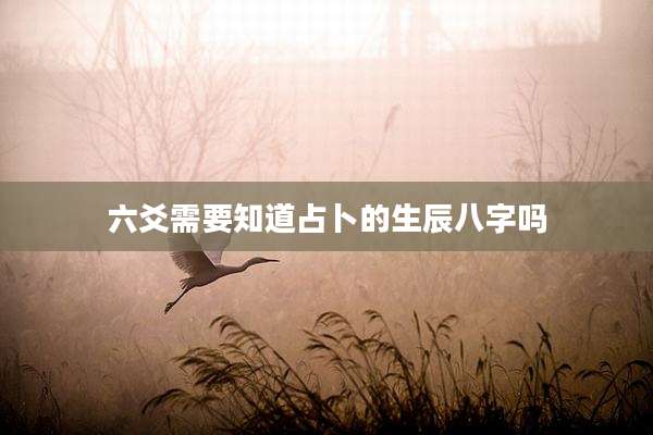 六爻需要知道占卜的生辰八字吗