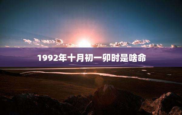 1992年十月初一卯时是啥命