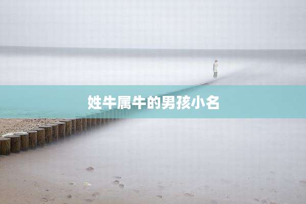姓牛属牛的男孩小名