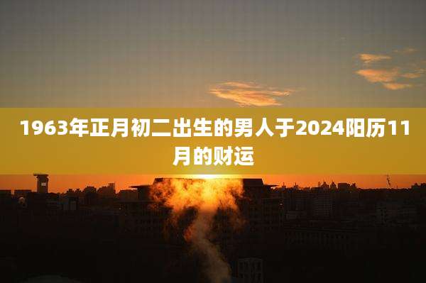 1963年正月初二出生的男人于2024阳历11月的财运