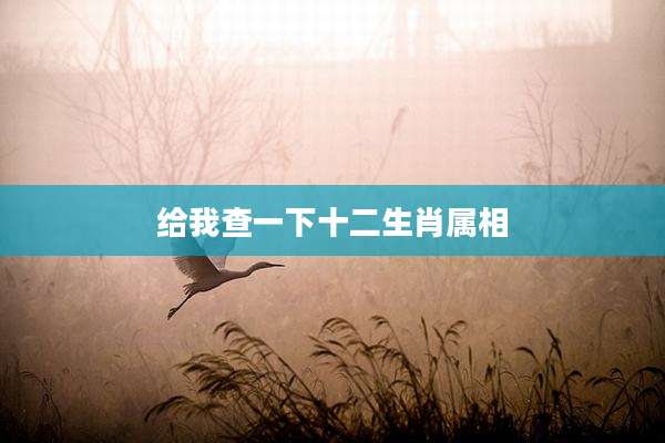 给我查一下十二生肖属相
