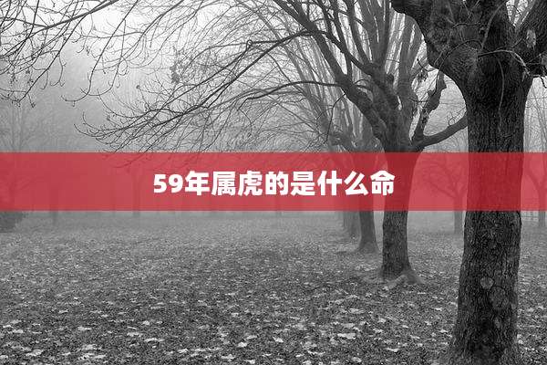 59年属虎的是什么命