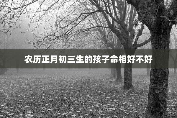 农历正月初三生的孩子命相好不好