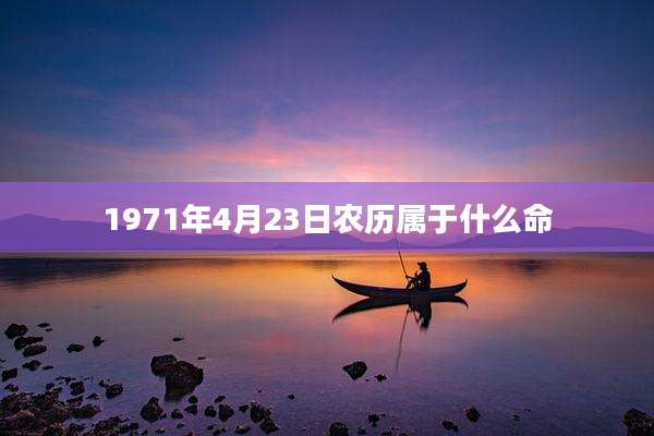 1971年4月23日农历属于什么命