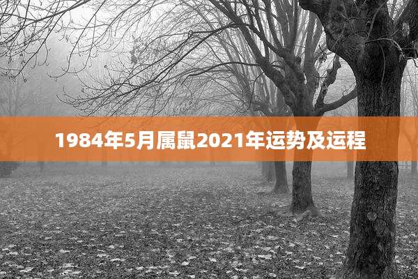 1984年5月属鼠2021年运势及运程