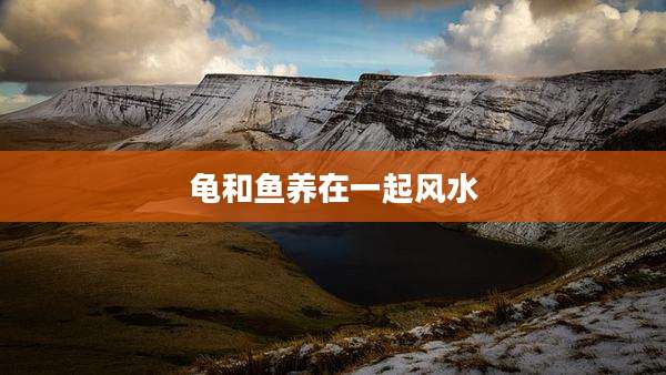 龟和鱼养在一起风水