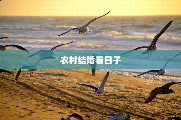 农村结婚看日子