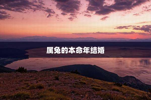 属兔的本命年结婚