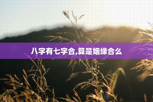 八字有七字合,算是姻缘合么
