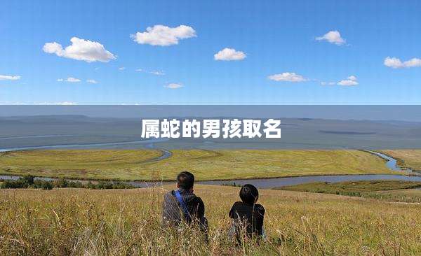 属蛇的男孩取名
