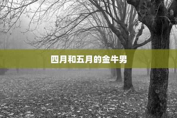 四月和五月的金牛男
