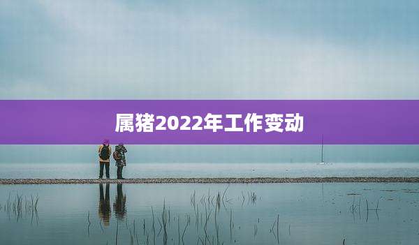 属猪2022年工作变动
