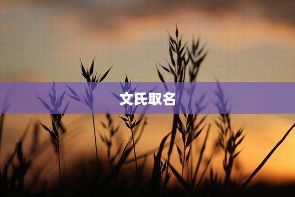 文氏取名
