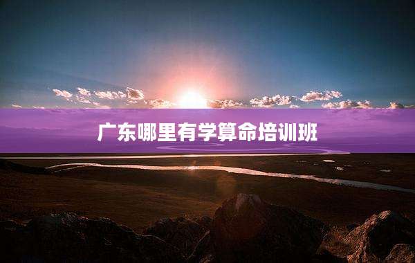广东哪里有学算命培训班
