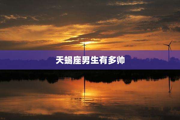 天蝎座男生有多帅