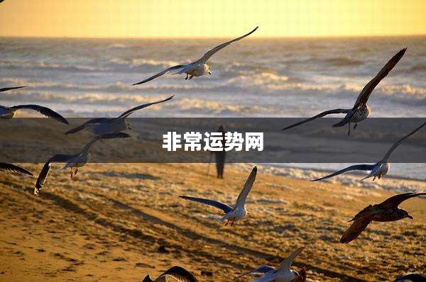 非常运势网