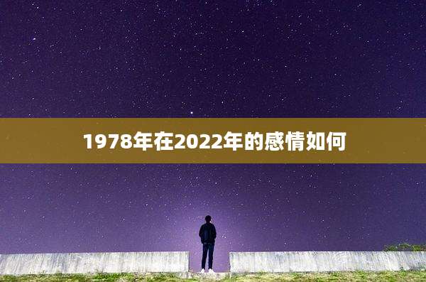 1978年在2022年的感情如何