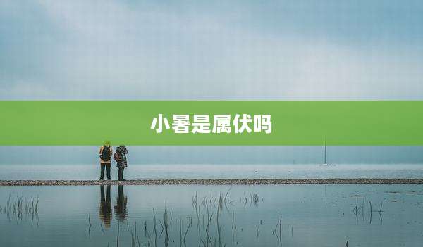 小暑是属伏吗