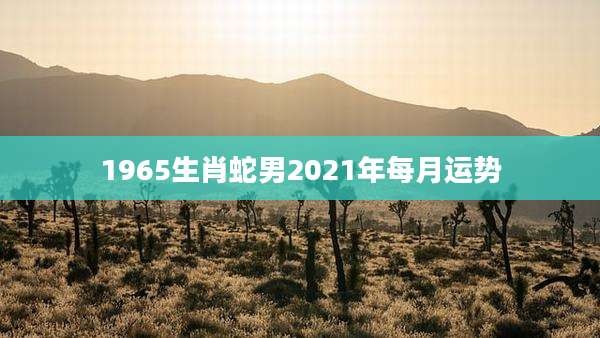 1965生肖蛇男2021年每月运势