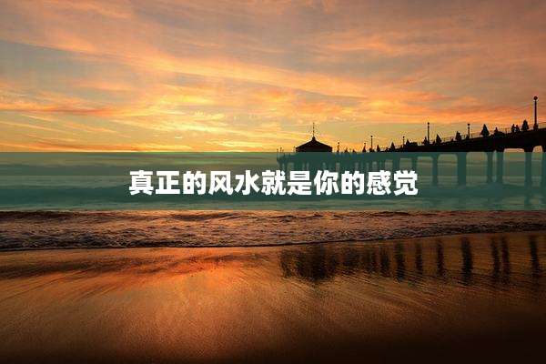 真正的风水就是你的感觉