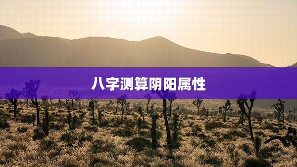 八字测算阴阳属性