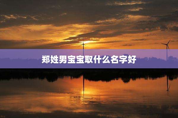 郑姓男宝宝取什么名字好
