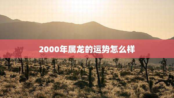 2000年属龙的运势怎么样