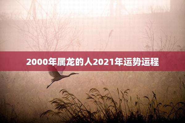 2000年属龙的人2021年运势运程