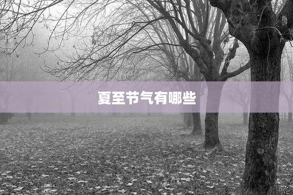 夏至节气有哪些