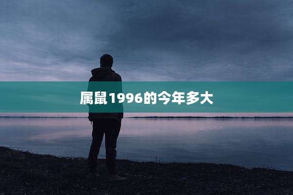 属鼠1996的今年多大