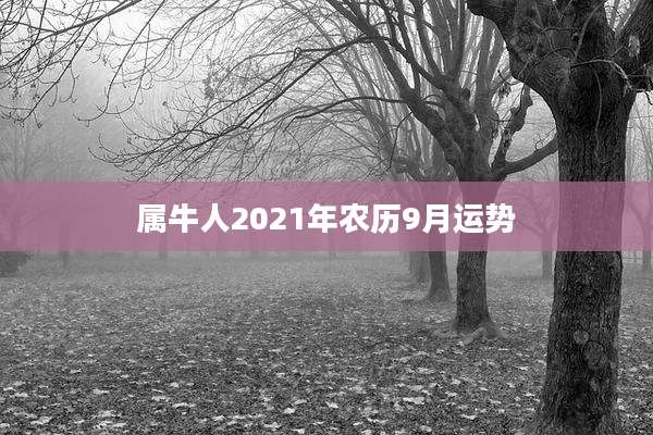 属牛人2021年农历9月运势